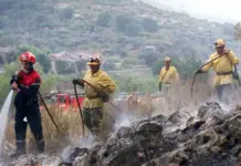 Bomberos apagan los rescoldos de un incendio de vegetación cerca de Teulada