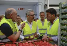 Arcadi España conversa con el alcalde de Alicante, Luis Barcala, en Mercalicante.