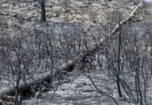 Tubería junto a un paisaje quemado durante el incendio en La Vall d’Uixó (Castellón).