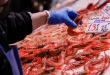 La CEV anticipa un crecimiento del 2,8 % en la economía valenciana en 2026 Pescadero sosteniendo gambas en el Mercado Central de València