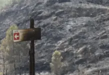 Los ecologistas exigen a la Generalitat más prevención ante los incendios forestales Aviones y medios terrestres actúan en la extinción de un incendio forestal en Tuéjar.