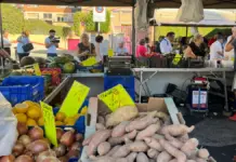 Elche impulsa los productos del Camp d’Elx con una campaña que explica cuándo consumirlos