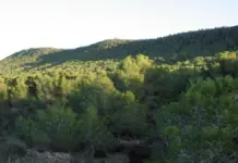 La Sierra de Escalona y la Dehesa de Campoamor ya son Parque Natural