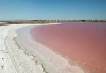 El fenómeno que da color rosa a la laguna de Torrevieja
