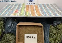 Cae en Elda una plantación de marihuana con 200 plantas y 10.000 euros en efectivo Billetes intervenidos por la Policía Nacional en una operación en Elda