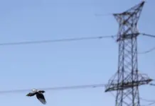 Torres de alta tensión con cables y estructura metálica