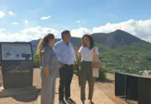 Personal y pasajeros junto a un crucero en el puerto mientras se anuncian excursiones.