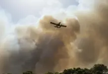 Incendio forestal en la Devesa de El Saler, imagen de archivo