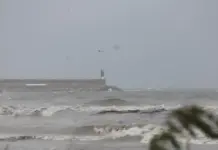 Desembocadura del río Serpis en la zona hidrológica de Pego.